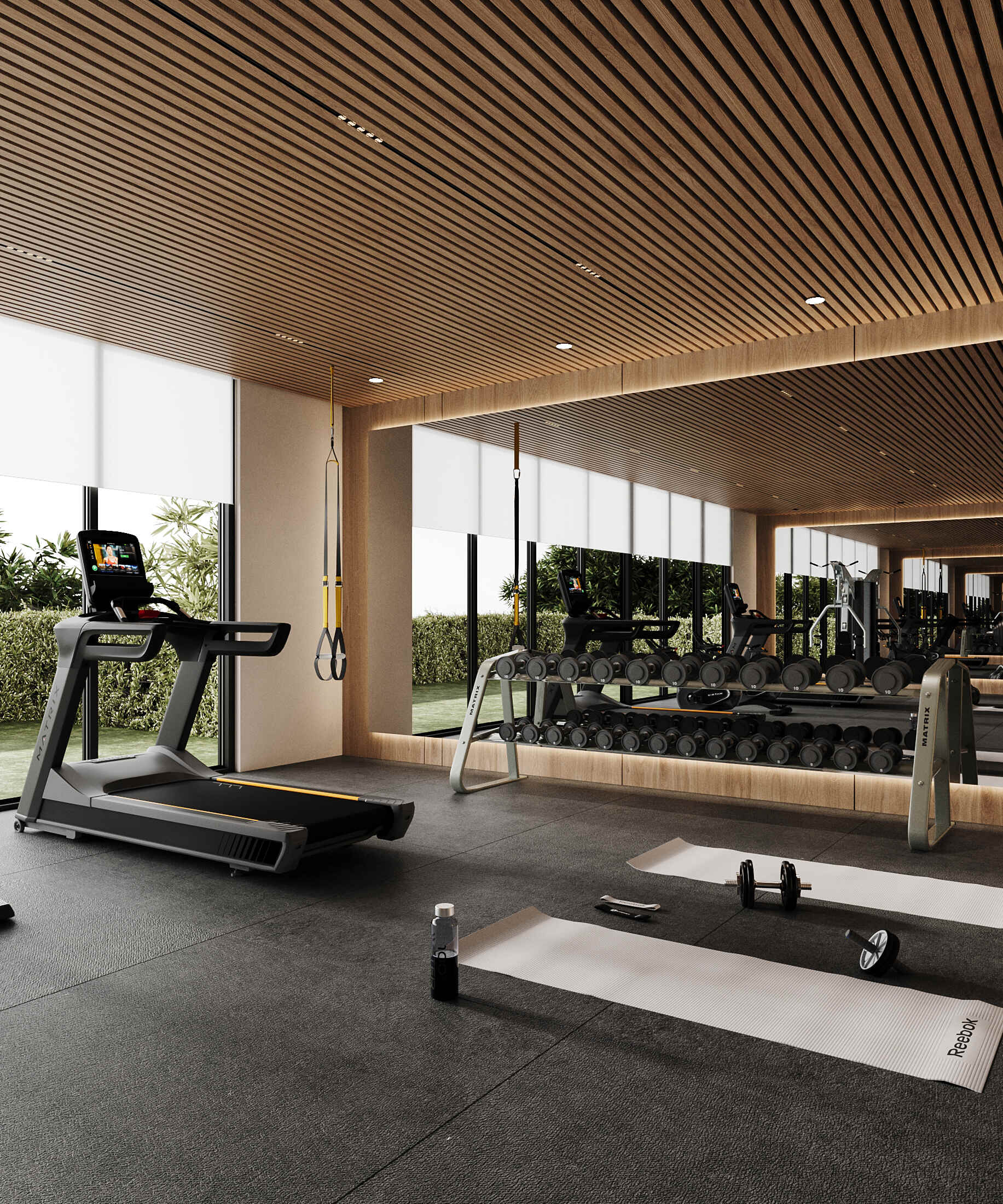 gym 2