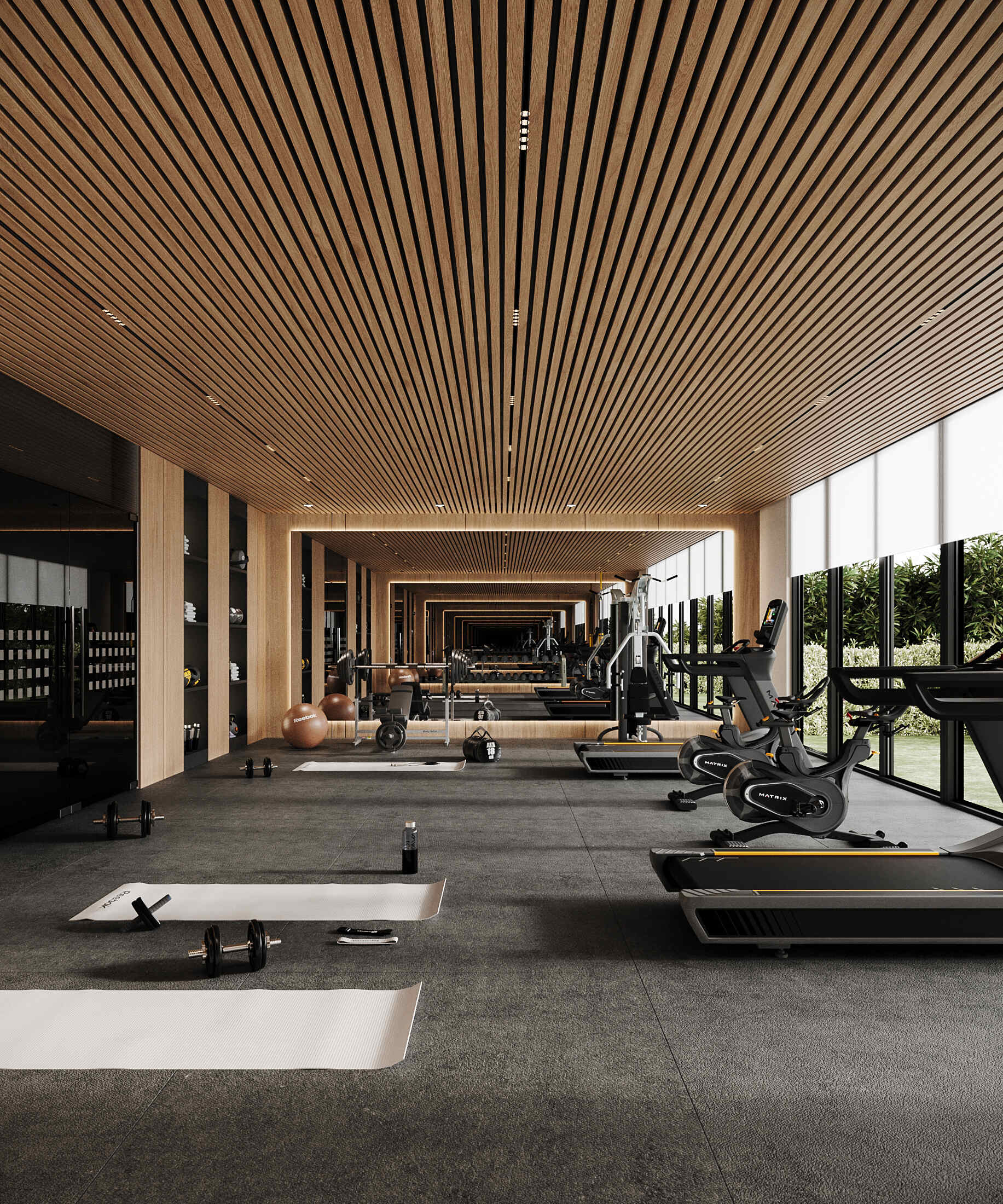 gym 2